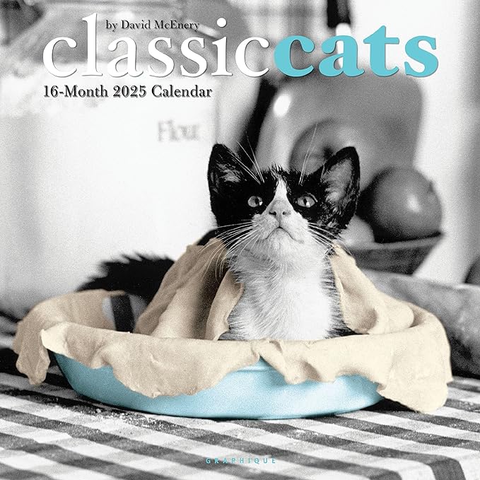 Graphique 2025 Classic Cats Wall Calendar | 12” x 12” | Thick Paper | Home & Office Organizer | Large Monthly Grid | 3 Languages & Marked Holidays | 4 Month Preview Page for 2026