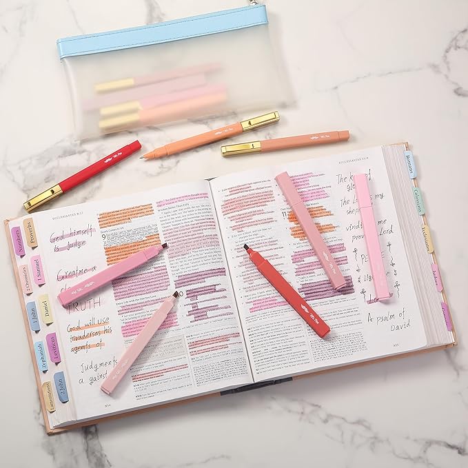 Mr. Pen- Aesthetic Highlighters and Pens No Bleed, 12 Pack, Shades of Pink, Bible Highlighters No Bleed, Black Ink Bible Pens, Highlighter Pens, No Bleed Highlighters for Bibles, Bible Pens