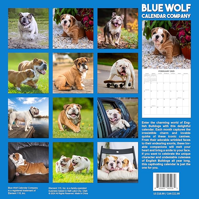 2025 English Bulldogs Monthly Wall Calendar | 12" x 24" | Thick Sturdy Paper | Dog Calendar 2024-2025