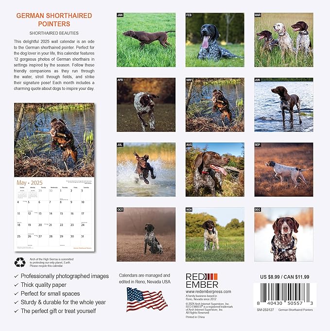 RED EMBER German Shorthaired Pointers Mini 2025 Wall Calendar 12 Month | 7" x 14" Open | Thick & Sturdy Paper | Giftable | Calendar 2025