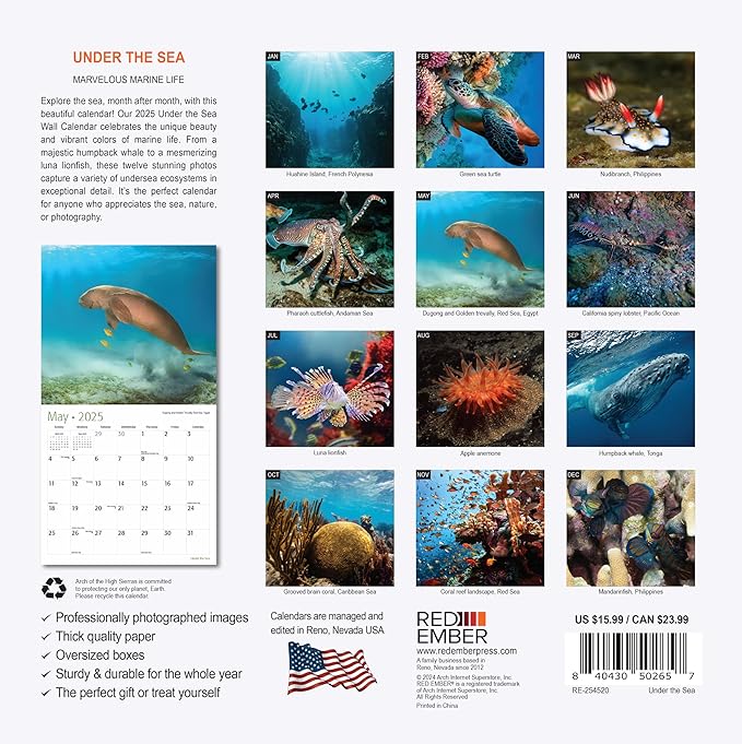 RED EMBER Under the Sea 2025 Wall Calendar 12 Month | 12" x 24" Open | Thick & Sturdy Paper | Giftable | Calendar 2025