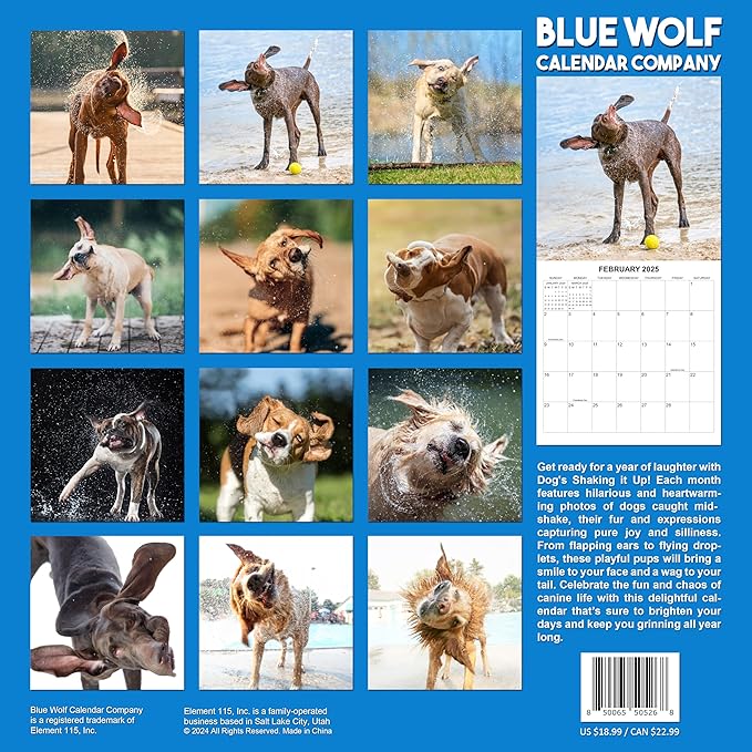 2025 Dogs Shaking it Up Monthly Wall Calendar - Dogs Making Funny Faces while Shaking Dry | 12" x 24" | Thick Sturdy Paper | Dog Calendar 2025