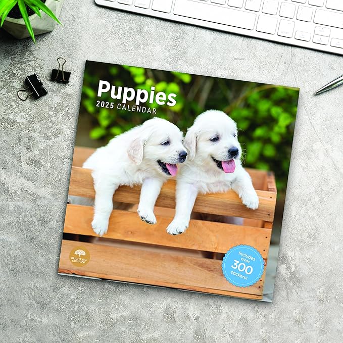 2025 Puppies Monthly Wall Calendar by Bright Day, Includes Over 300 Stickers, 12 x 12 Inch