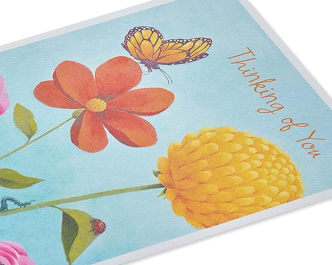 American Greetings Thinking of You Card (Brighten Up Your Day)