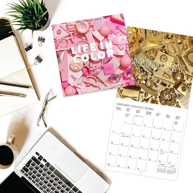 Graphique 2024 Life in Color Wall Calendar | 12” x 12” | Thick Paper | Home & Office Organizer | Large Monthly Grid | 3 Languages & Marked Holidays | 4 Month Preview Page for 2025