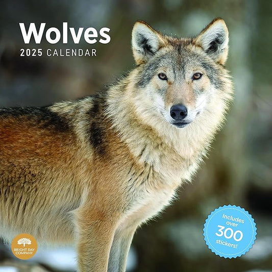 2025 Wolves Monthly Wall Calendar by Bright Day, Includes Over 300 Stickers, 12 x 12 Inch