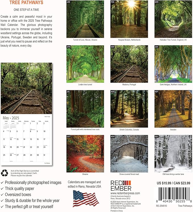 RED EMBER Tree Pathways 2025 Wall Calendar 12 Month | 12" x 24" Open | Thick & Sturdy Paper | Giftable | Calendar 2025