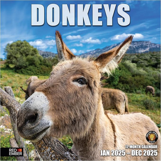 RED EMBER Donkeys 2025 Wall Calendar 12 Month | 12" x 24" Open | Thick & Sturdy Paper | Giftable | Calendar 2025