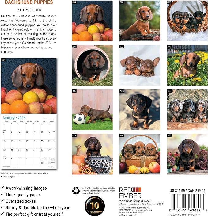 RED EMBER Dachshunds Puppies 2023 Hangable Monthly Wall Calendar | 12" x 24" Open | Thick & Sturdy Paper | Giftable | Cute Dog Puppy | Pretty Puppies