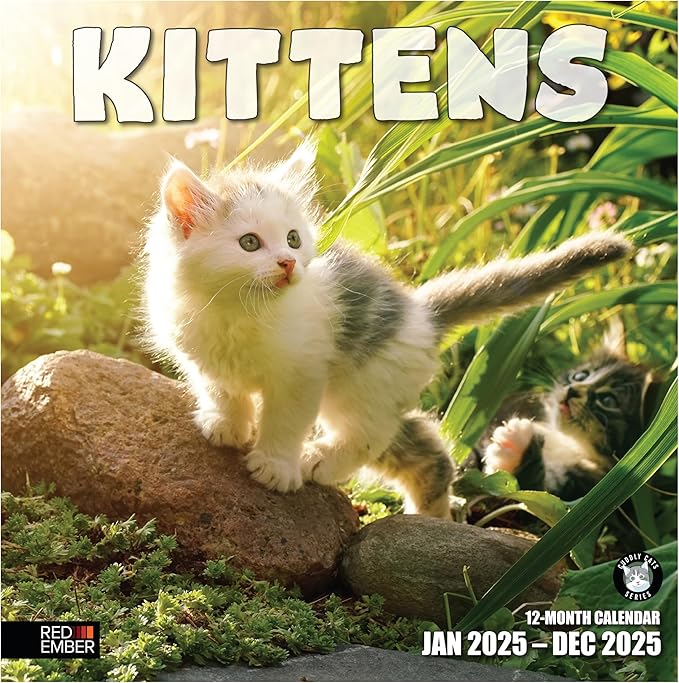 RED EMBER Kittens 2025 Wall Calendar 12 Month | 12" x 24" Open | Thick & Sturdy Paper | Giftable | Calendar 2025