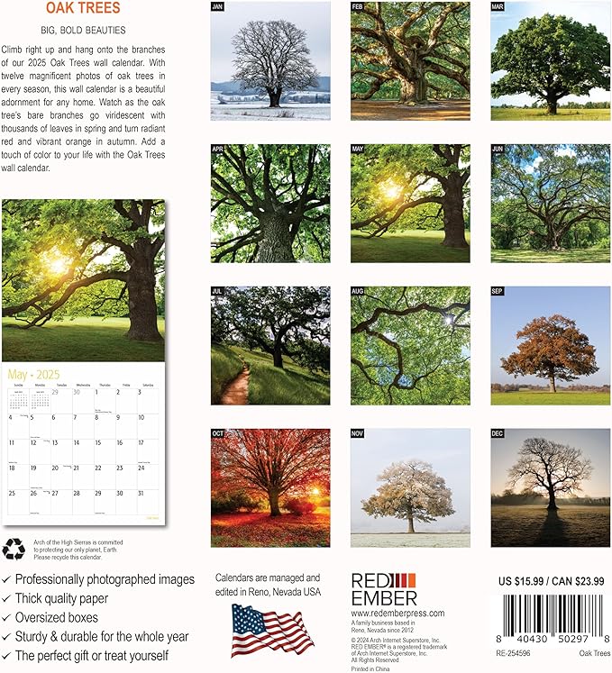 RED EMBER Oak Trees 2025 Wall Calendar 12 Month | 12" x 24" Open | Thick & Sturdy Paper | Giftable | Calendar 2025