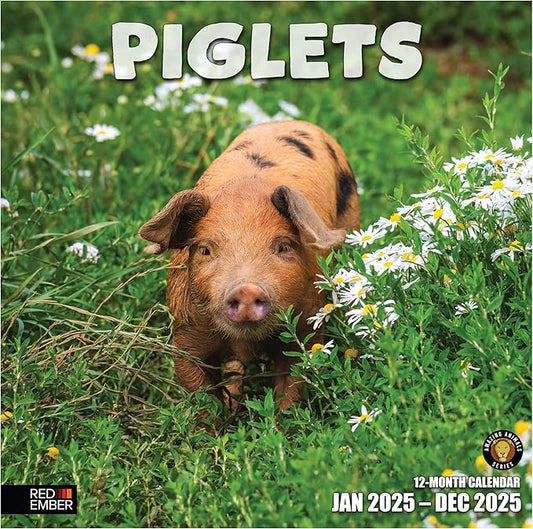 RED EMBER Piglets 2025 Wall Calendar 12 Month | 12" x 24" Open | Thick & Sturdy Paper | Giftable | Calendar 2025