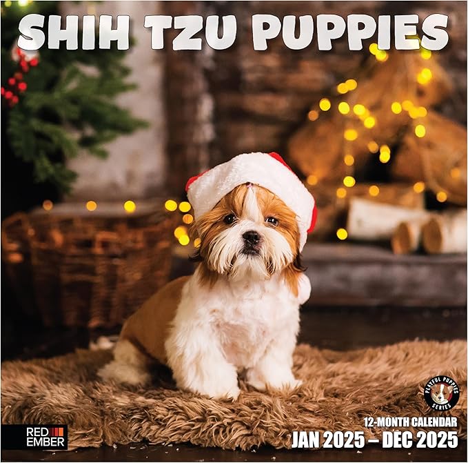 RED EMBER Shih Tzu Puppies 2025 Wall Calendar 12 Month | 12" x 24" Open | Thick & Sturdy Paper | Giftable | Calendar 2025