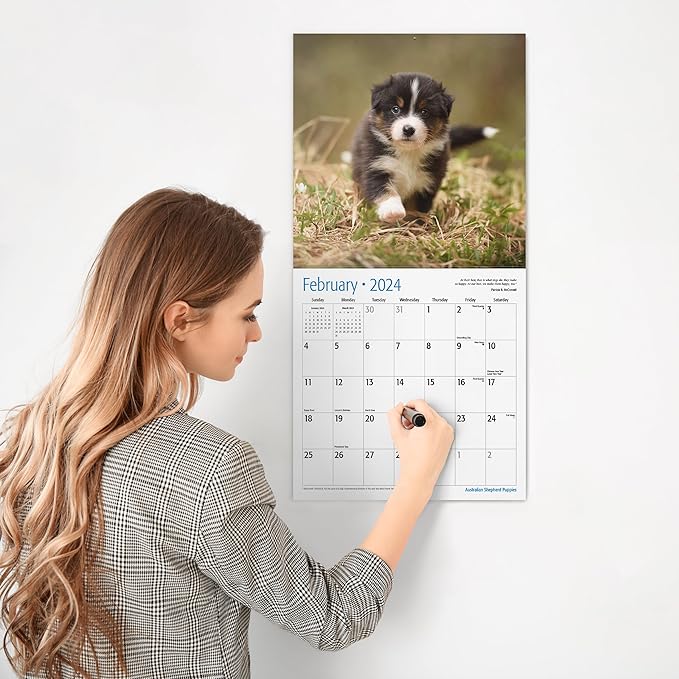 RED EMBER Siberian Husky Puppies 2024 Wall Calendar 12 Month | 12" x 24" Open | Thick & Sturdy Paper | Giftable | Calendar 2024