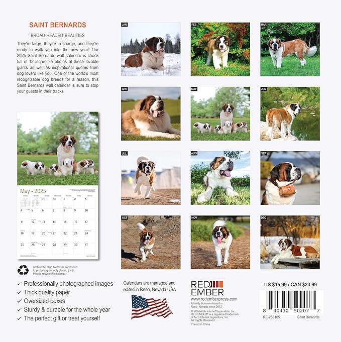 RED EMBER Saint Bernards 2025 Wall Calendar 12 Month | 12" x 24" Open | Thick & Sturdy Paper | Giftable | Calendar 2025