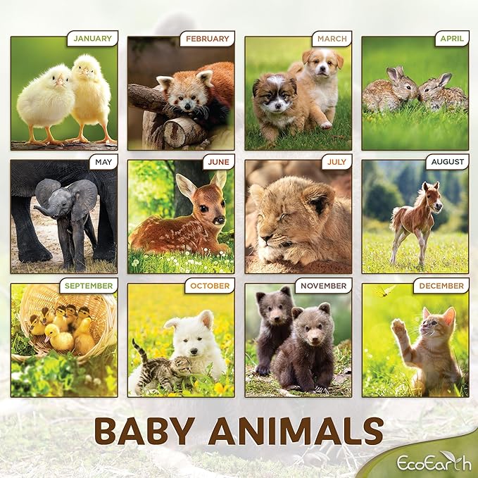 EcoEarth Biodegradable 11x17 Inch (Open) 12-Month Vertical Hanging Wall Calendar, Jan 2025 - Dec 2025 Monthly Calendar, Baby Animals
