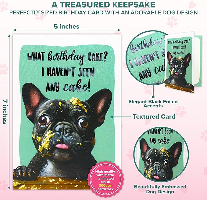 Decorably 5x7in Individual Humorous Dog Birthday Card with Embossed Design, Funny Dog Birthday Cards Set with Envelope and Stickers, with Printed Message Inside