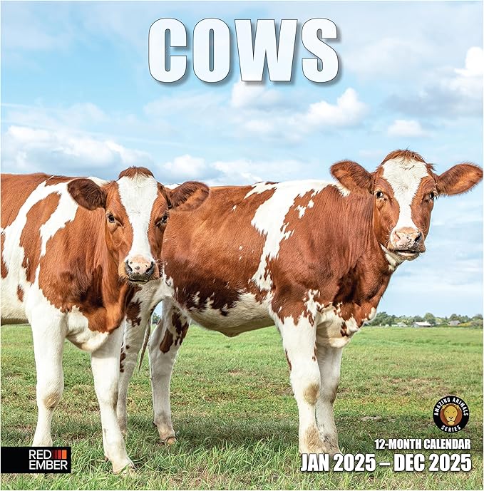 RED EMBER Cows 2025 Wall Calendar 12 Month | 12" x 24" Open | Thick & Sturdy Paper | Giftable | Calendar 2025