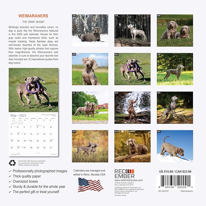 RED EMBER Weimaraners 2025 Wall Calendar 12 Month | 12" x 24" Open | Thick & Sturdy Paper | Giftable | Calendar 2025
