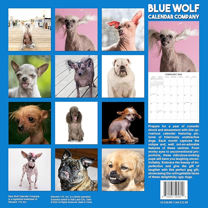 2025 Ugly Dogs Monthly Wall Calendar | Hilarious Gag Gift for Dog Lovers | Funny Dogs White Elephant Gift Calendar