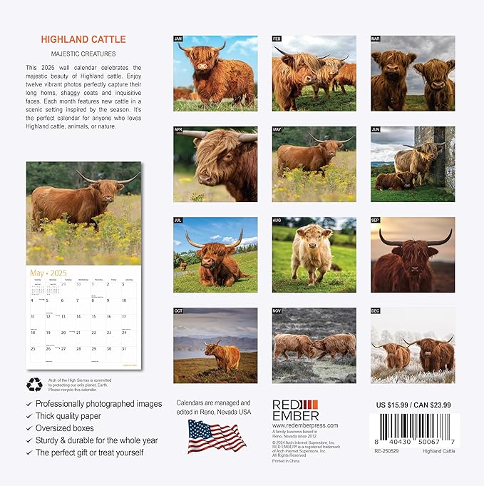 RED EMBER Highland Cattle 2025 Wall Calendar 12 Month | 12" x 24" Open | Thick & Sturdy Paper | Giftable | Calendar 2025