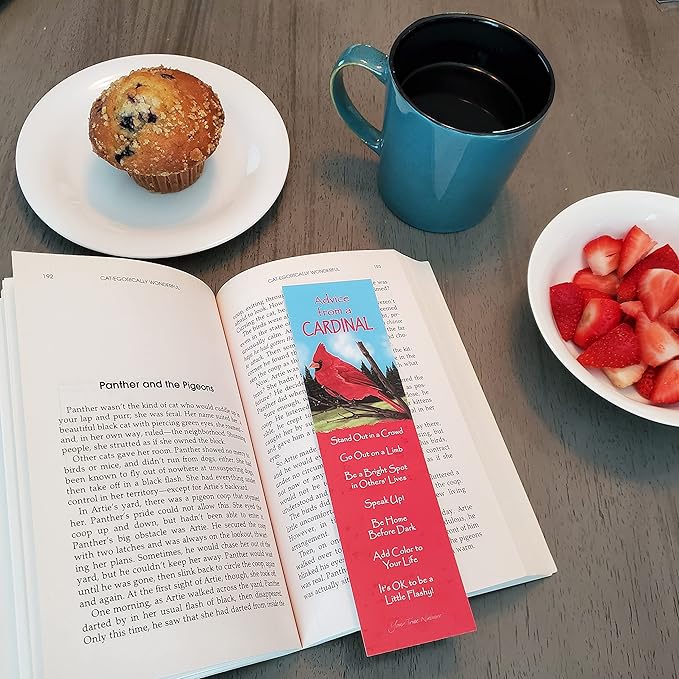 Advice from Nature 3 Bookmark Birds Set, Laminated with Glossy Finish, Printed on Recycled Paper - Cardinal, Chickadee, Bluebird (AMBM-BIRDS)