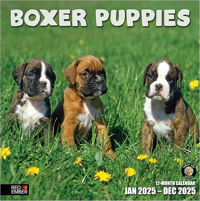 RED EMBER Boxer Puppies 2025 Wall Calendar 12 Month | 12" x 24" Open | Thick & Sturdy Paper | Giftable | Calendar 2025