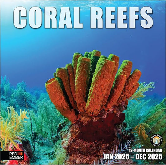 RED EMBER Coral Reefs 2025 Wall Calendar 12 Month | 12" x 24" Open | Thick & Sturdy Paper | Giftable | Calendar 2025