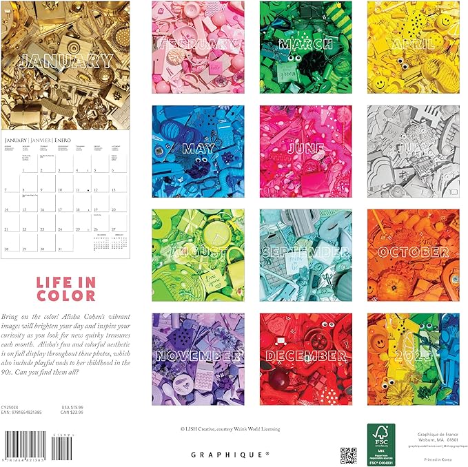 Graphique 2024 Life in Color Wall Calendar | 12” x 12” | Thick Paper | Home & Office Organizer | Large Monthly Grid | 3 Languages & Marked Holidays | 4 Month Preview Page for 2025