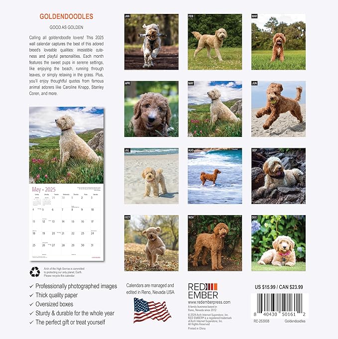 RED EMBER Goldendoodles 2025 Wall Calendar 12 Month | 12" x 24" Open | Thick & Sturdy Paper | Giftable | Calendar 2025