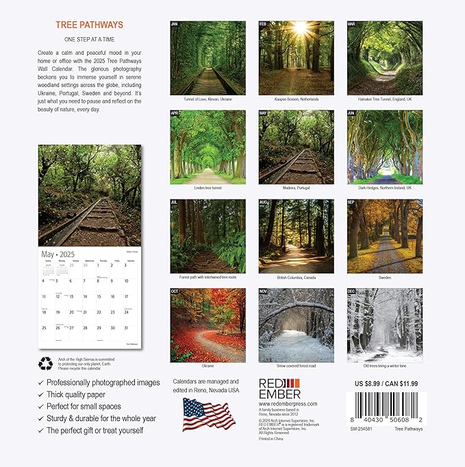 RED EMBER Tree Pathways Mini 2025 Wall Calendar 12 Month | 7" x 14" Open | Thick & Sturdy Paper | Giftable | Calendar 2025