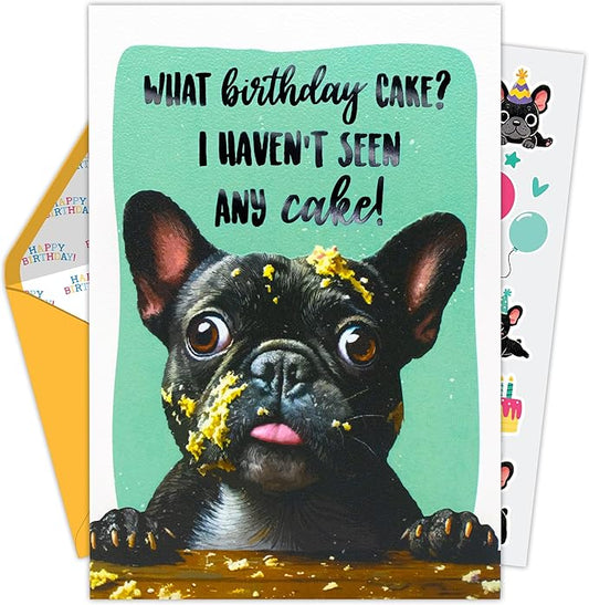Decorably 5x7in Individual Humorous Dog Birthday Card with Embossed Design, Funny Dog Birthday Cards Set with Envelope and Stickers, with Printed Message Inside