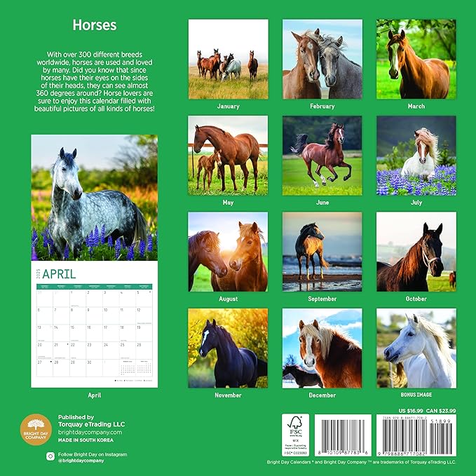 2025 Horses Monthly Wall Calendar by Bright Day, Includes Over 300 Stickers, 12 x 12 Inch