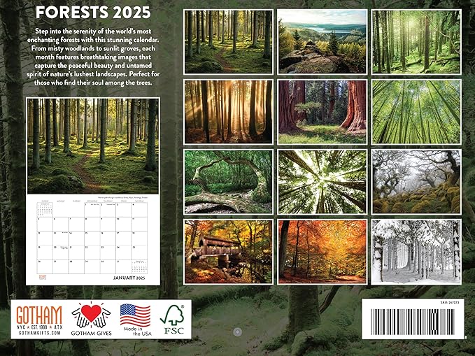 Forest Tree 2025 Wall Calendar