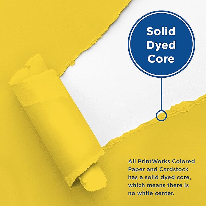 Printworks Neon Colored Paper, 24 lb, 5 Assorted Florescent Colors, FSC Certified, 100 Sheets, 8.5 x 11 Inch (00579), Single (Pack of 2)