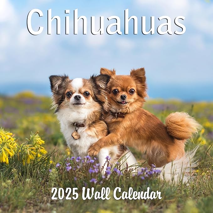 2025 Chihuahua Monthly Wall Calendar | 12" x 24" | 2024-2025 Chihuaha Dog Calendar