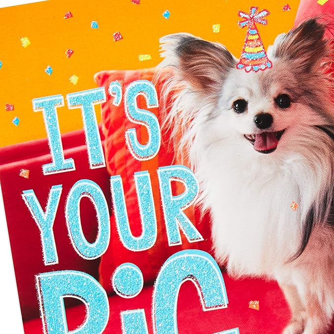 Hallmark Birthday Cards Assortment, 20 Cards with Envelopes (Refill Pack for Hallmark Card Organizer Box)