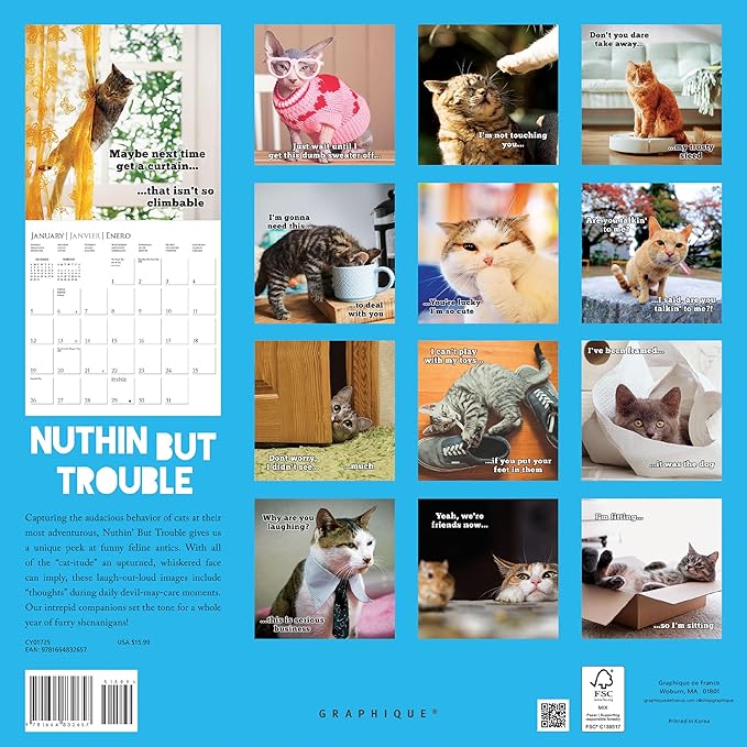 Graphique 2025 Nuthin' But Trouble Wall Calendar | 12” x 12” | Thick Paper | Home & Office Organizer | Large Monthly Grid | 3 Languages & Marked Holidays | 4 Month Preview Page for 2026