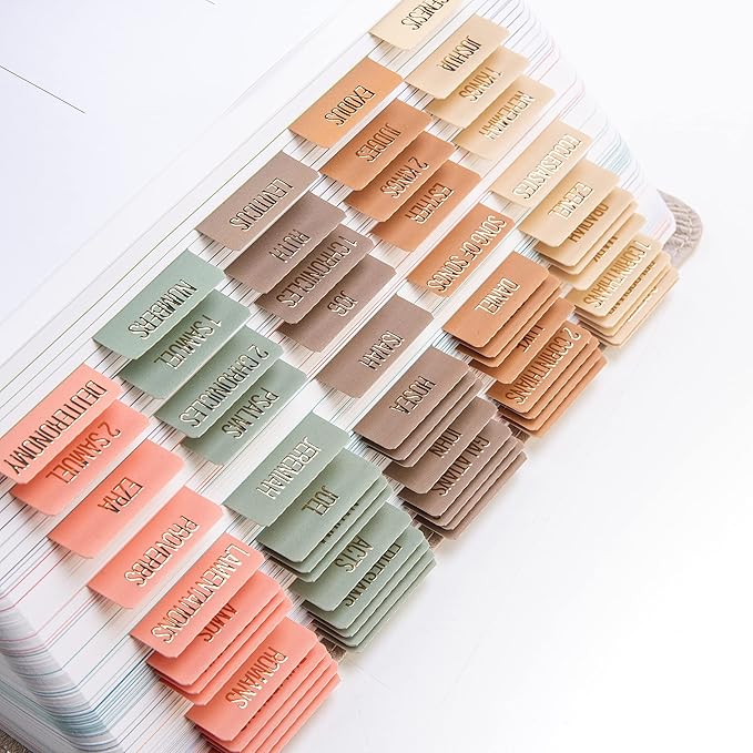 DiverseBee Laminated Bible Tabs (Gold Embossed Lettering), Bible Journaling Supplies, Bible Book Tabs, Christian Gift, 73 Bible Tabs for Women and Men, Includes 4 Blank Tabs (Meadow)
