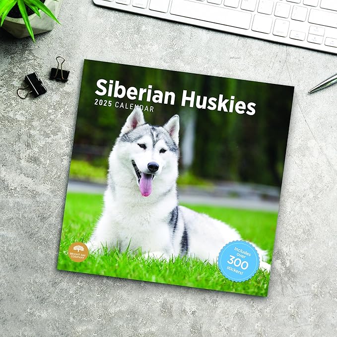 2025 Siberian Huskies Monthly Wall Calendar by Bright Day, Includes Over 300 Stickers, 12 x 12 Inch