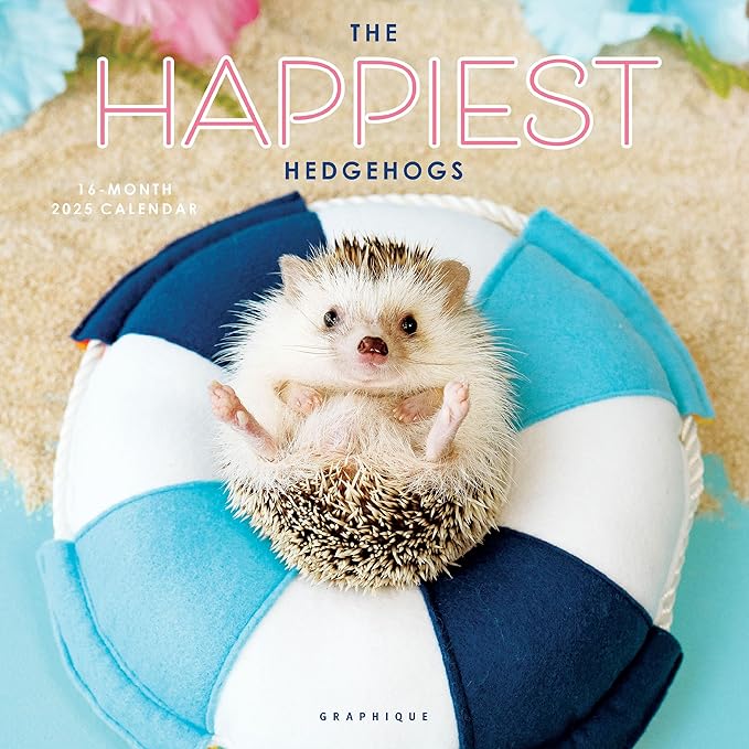 Graphique 2025 Happiest Hedgehogs Wall Calendar | 12” x 12” | Thick Paper | Home & Office Organizer | Large Monthly Grid | 3 Languages & Marked Holidays | 4 Month Preview Page for 2026
