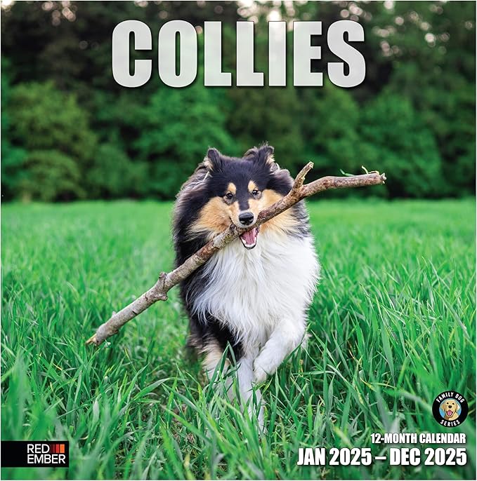 RED EMBER Collies 2025 Wall Calendar 12 Month | 12" x 24" Open | Thick & Sturdy Paper | Giftable | Calendar 2025