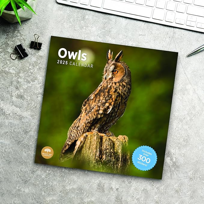 2025 Owls Monthly Wall Calendar by Bright Day, Includes Over 300 Stickers, 12 x 12 Inch