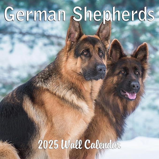2025 German Shepherds Monthly Wall Calendar | 12" x 24" | Thick Sturdy Paper | Dog Calendar 2024-2025