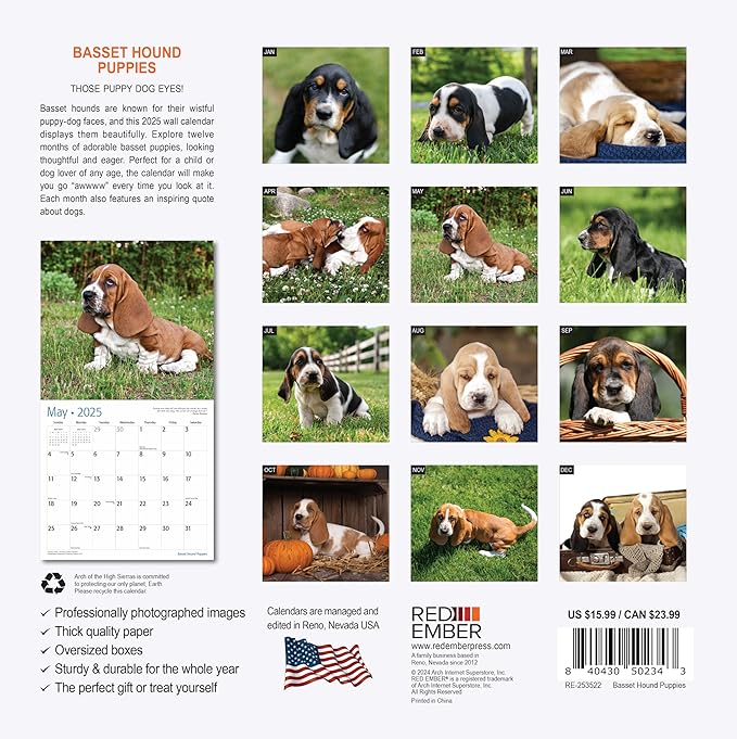 RED EMBER Basset Hound Puppies 2025 Wall Calendar 12 Month | 12" x 24" Open | Thick & Sturdy Paper | Giftable | Calendar 2025