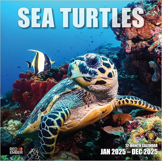 RED EMBER Sea Turtles 2025 Wall Calendar 12 Month | 12" x 24" Open | Thick & Sturdy Paper | Giftable | Calendar 2025