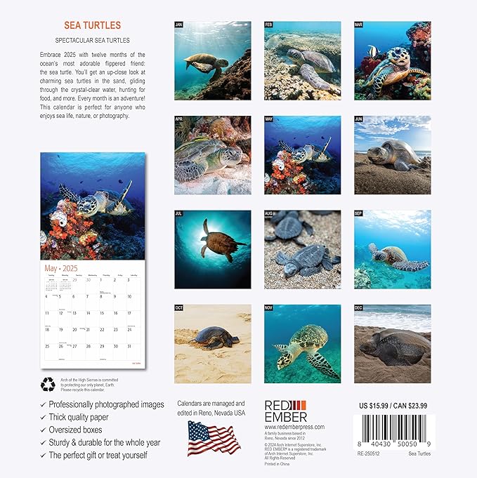 RED EMBER Sea Turtles 2025 Wall Calendar 12 Month | 12" x 24" Open | Thick & Sturdy Paper | Giftable | Calendar 2025