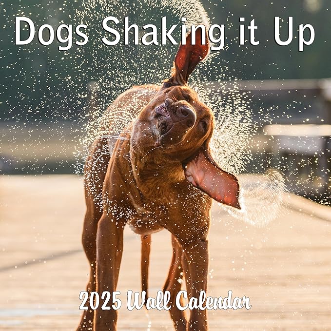 2025 Dogs Shaking it Up Monthly Wall Calendar - Dogs Making Funny Faces while Shaking Dry | 12" x 24" | Thick Sturdy Paper | Dog Calendar 2025