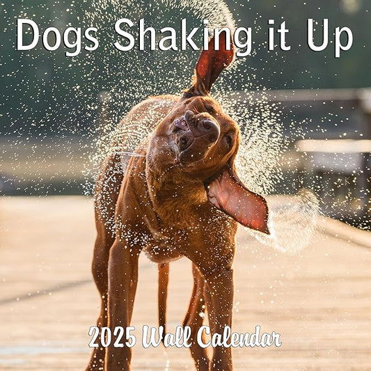 2025 Dogs Shaking it Up Monthly Wall Calendar - Dogs Making Funny Faces while Shaking Dry | 12" x 24" | Thick Sturdy Paper | Dog Calendar 2025