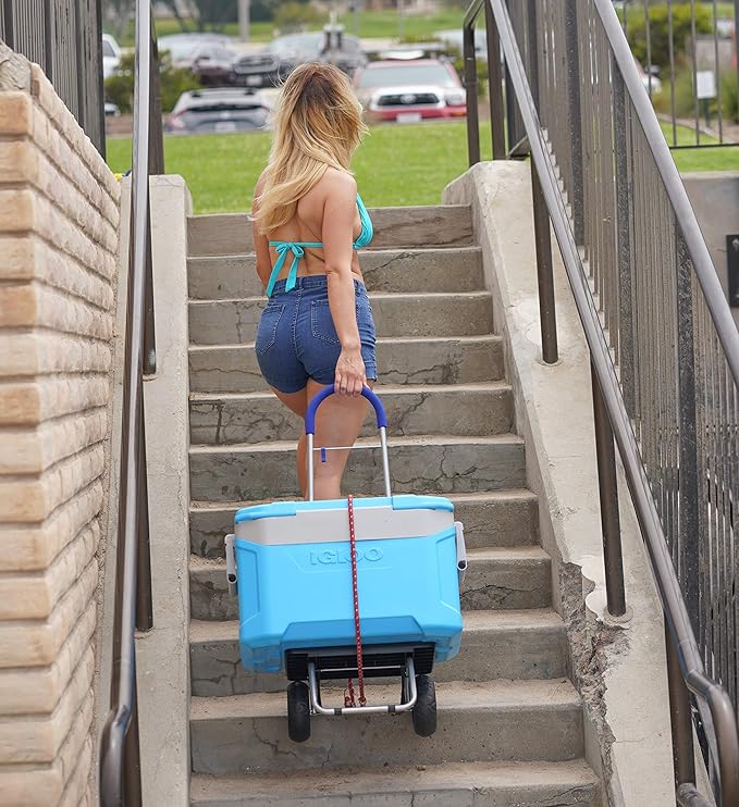 dbest 01527 Bigger Trolley Dolly, 16"14"40", Blue